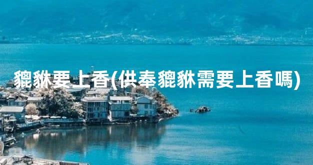 貔貅要上香(供奉貔貅需要上香嗎)