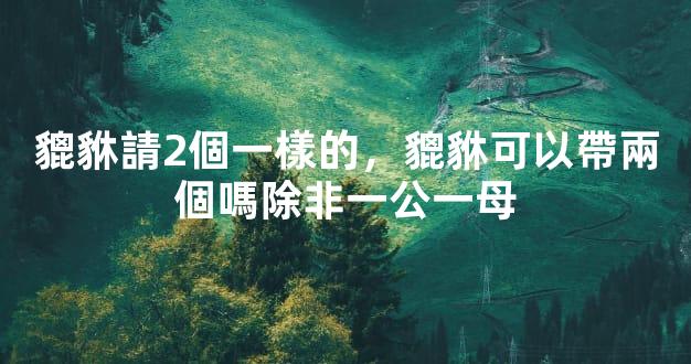 貔貅請2個一樣的，貔貅可以帶兩個嗎除非一公一母