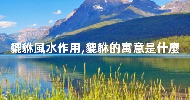 貔貅風水作用,貔貅的寓意是什麼