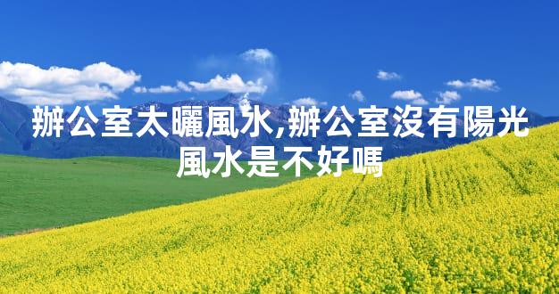 辦公室太曬風水,辦公室沒有陽光風水是不好嗎
