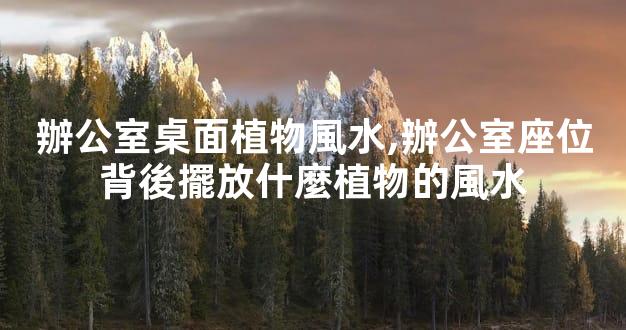 辦公室桌面植物風水,辦公室座位背後擺放什麼植物的風水