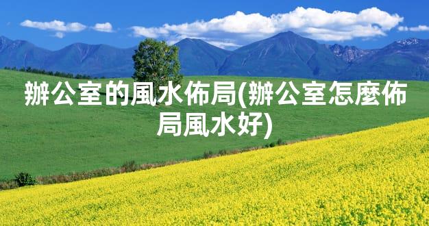 辦公室的風水佈局(辦公室怎麼佈局風水好)