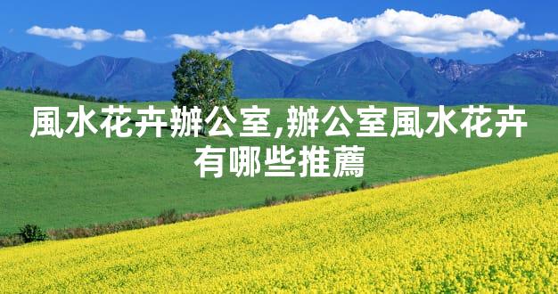 風水花卉辦公室,辦公室風水花卉有哪些推薦