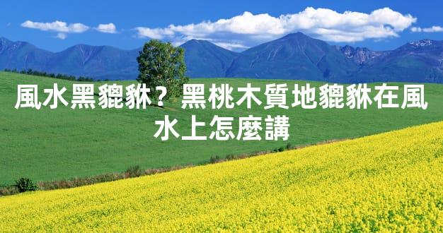 風水黑貔貅？黑桃木質地貔貅在風水上怎麼講