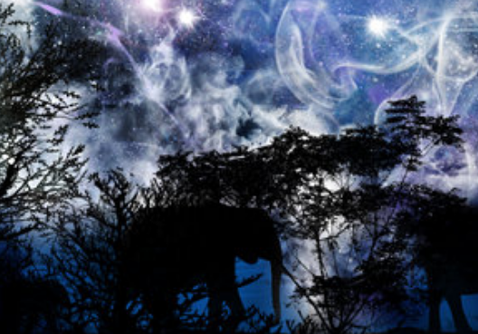 十二星座人品排行榜