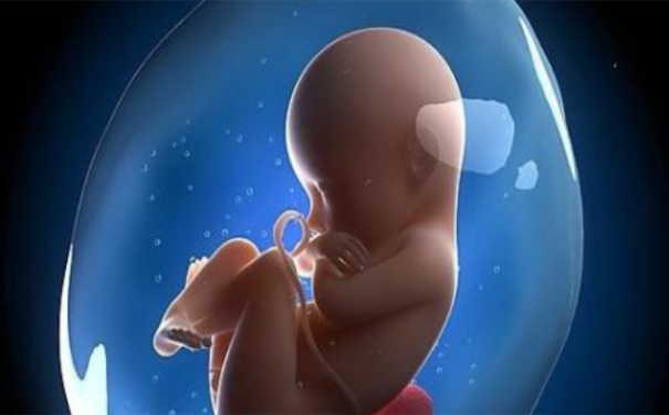 墮胎後不超度的報應  墮胎後超度嬰靈方法