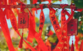 情降成功的前提 影響情降成功的幾大因素