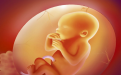 <b>超度墮胎嬰靈最有效的懺悔文範本</b>