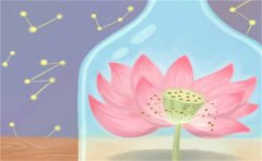 <b>住在這幾種住宅家人健康越來越差</b>