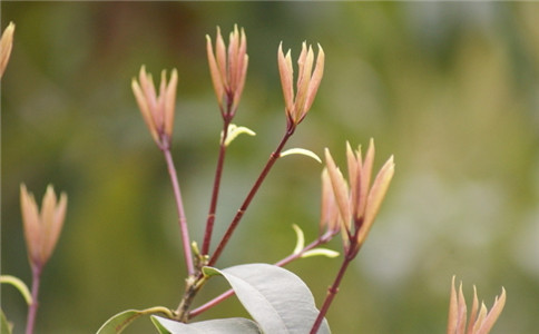 <b>家居風水學如何聚財，聚財風水學</b>