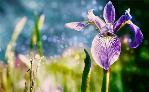 塔羅占蔔妳的女朋友最終會選擇離開妳嗎