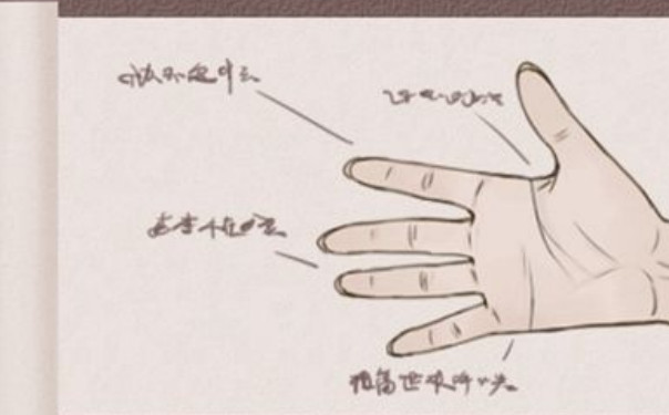女人手掌紋路圖解算命：女人手相“左右手”含義