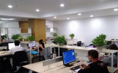 辦公室講究哪些佈局 重要的不是奢華 合適自己的才重要