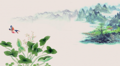 種生基風水秘術改運法?到底利用了什麼原理