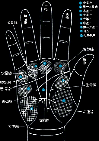 手相怎么看图解 手相怎么看图解断掌