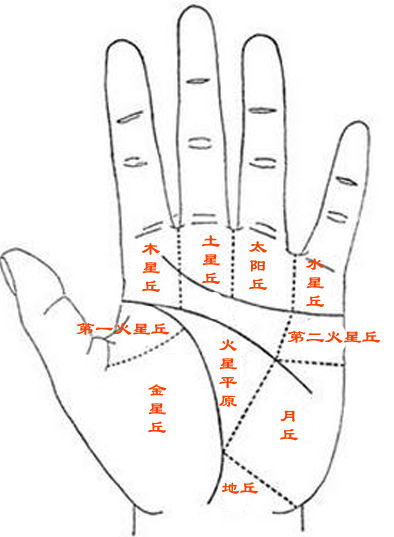 看手相算命图解 看手相算命图解 男性左手