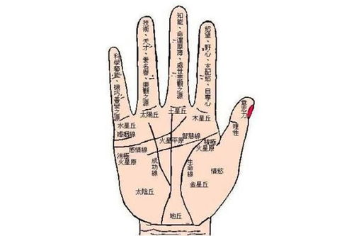 手相纹路清晰说明什么 女人富贵的12种手相特征