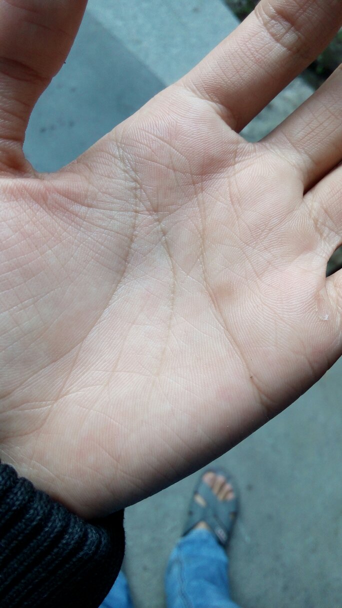 百度看手相拍照算命 免费扫一扫看手相算命