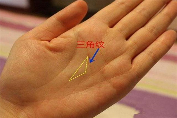 手相所有纹路大全图解 手相纹路大全图解女士最好手相
