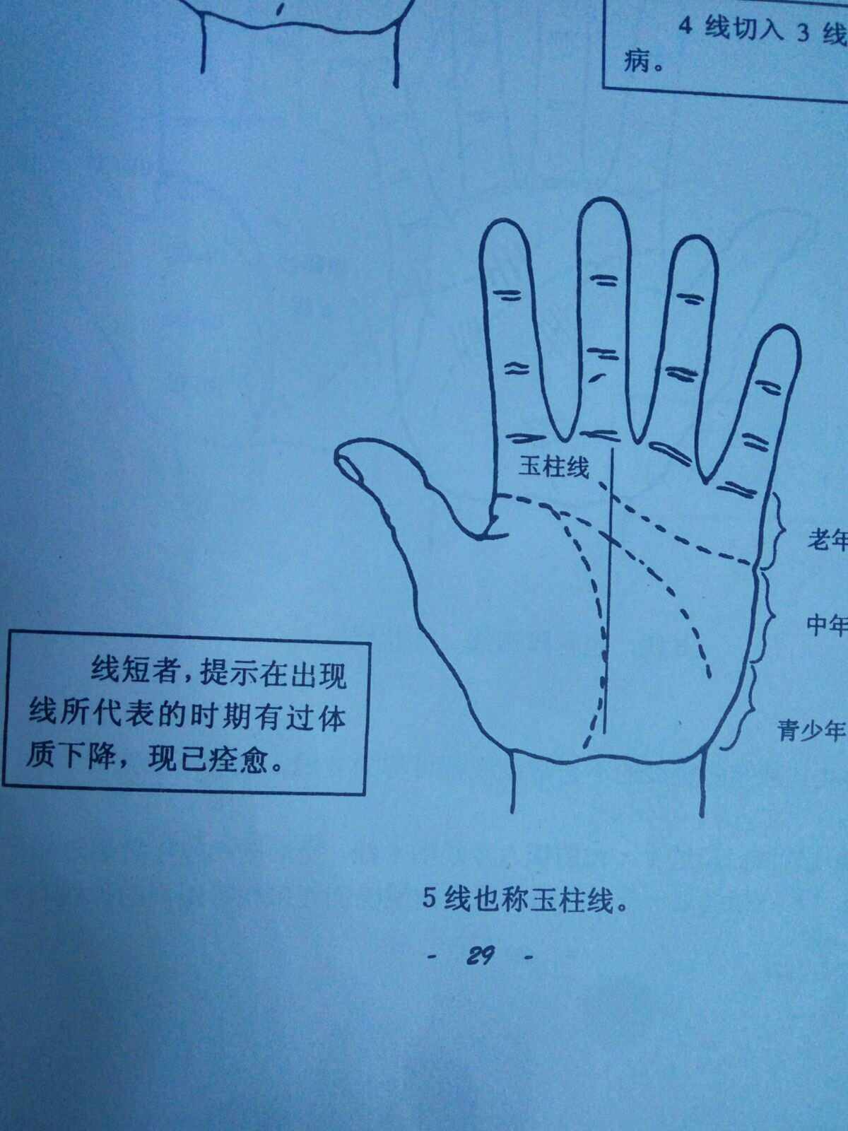 測掌紋 測掌紋 相機